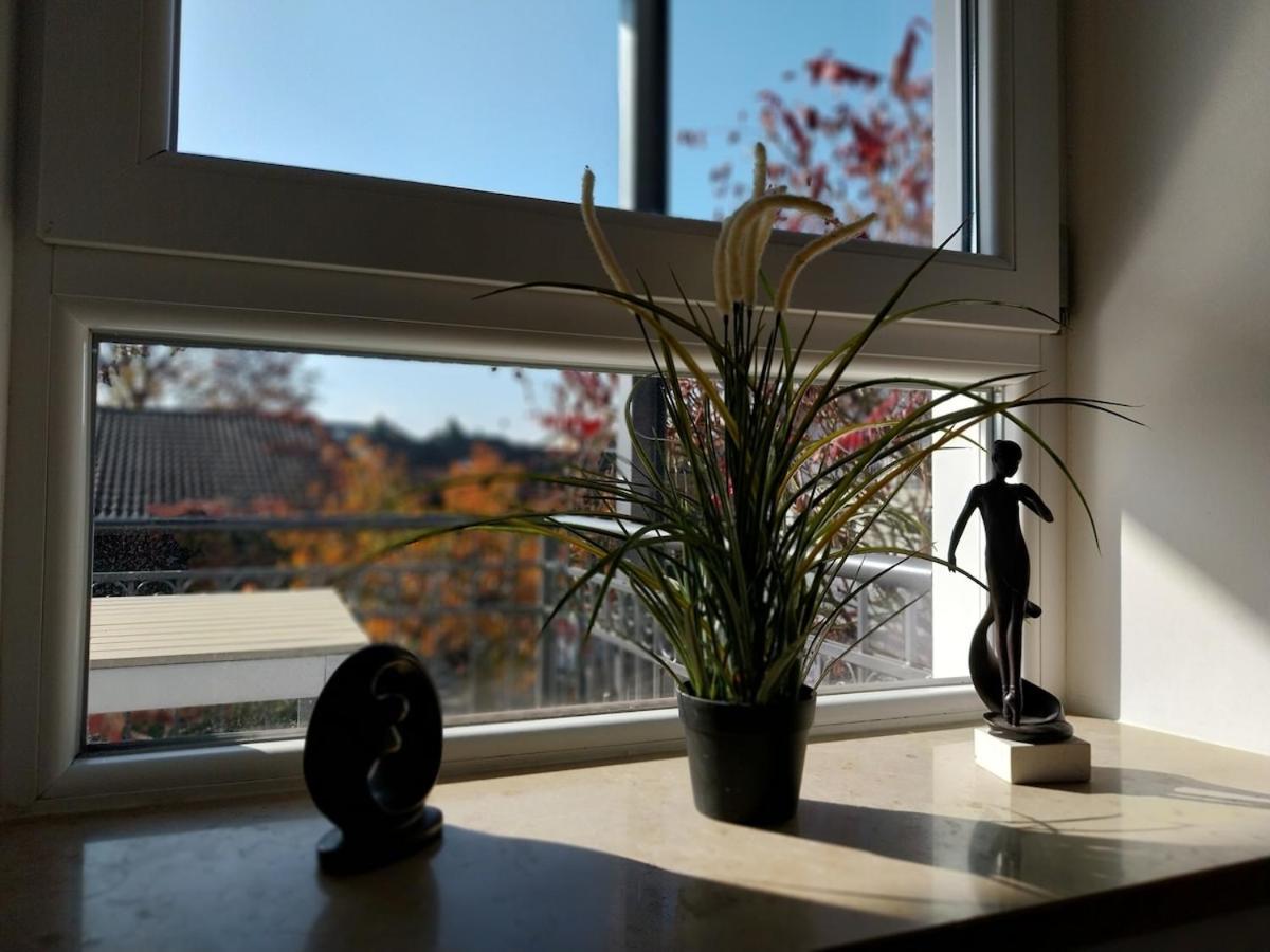 Bad Aibling City Apartment - Alpenblick Eksteriør bilde